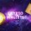 Everything You Need to Know About Crypto Wallet